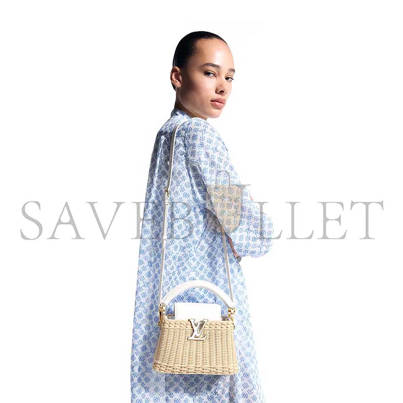 LOUIS VUITTON MASTER CAPUCINES MINI M26004 (21*14*8cm)